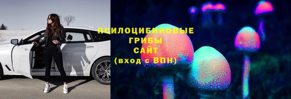 прущая мука Ладушкин