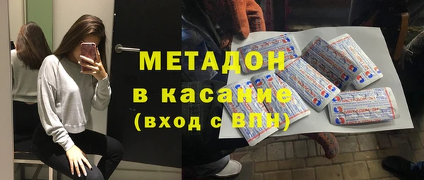 молекула духа Богданович