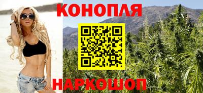 прущие грибы Славгород