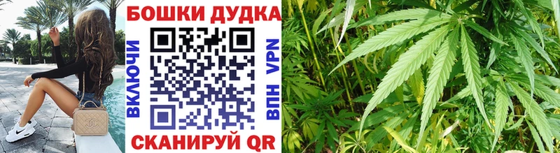 blacksprut tor  закладки  Находка  Конопля семена 